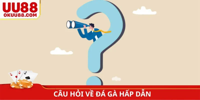 Câu hỏi về đá gà hấp dẫn