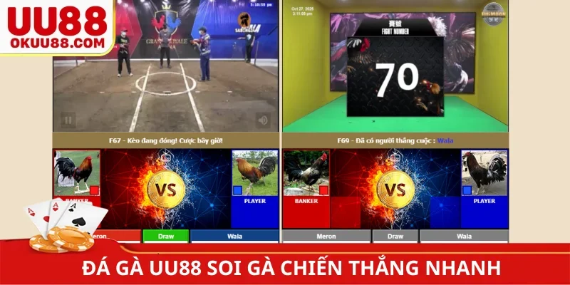 Đá gà UU88 soi gà chiến thắng nhanh
