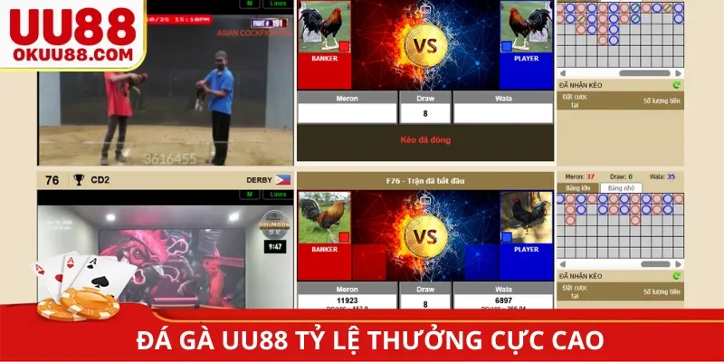 Đá gà tại UU88 tỷ lệ thưởng cực cao