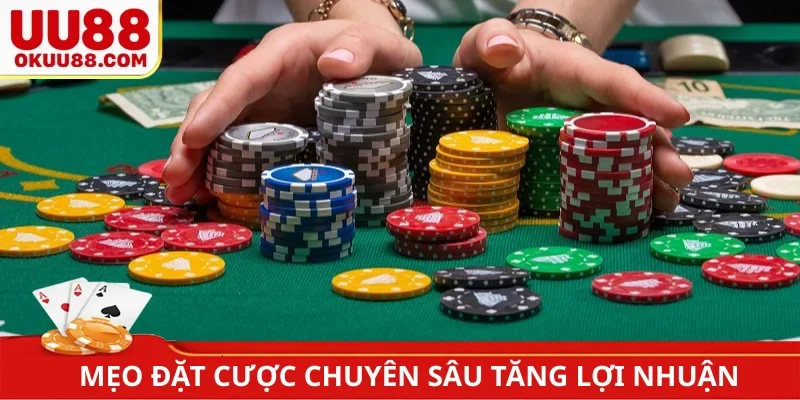 Mẹo đặt cược chuyên sâu tăng lợi nhuận