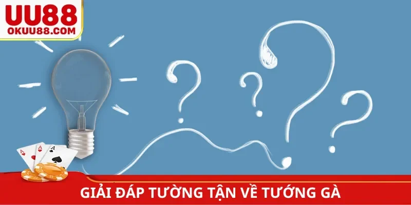 Giải đáp tường tận về xem tướng gà chọi